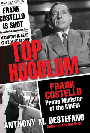 Cover of the book Top Hoodlum by Anthony M. DeStefano