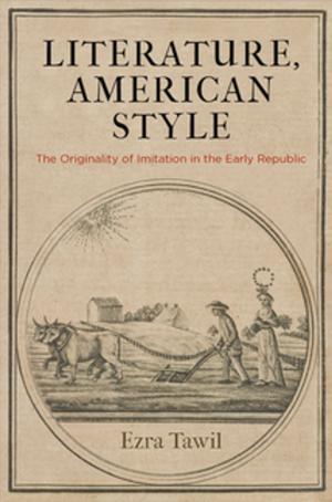 Cover of the book Literature, American Style by Daniel Cottom