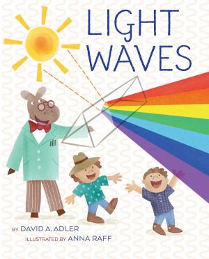 Cover of the book Light Waves by David A. Adler