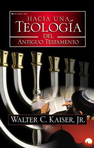 Book cover of Hacia una teología del Antiguo Testamento