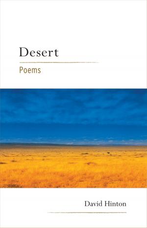 Cover of the book Desert by ［馬其頓］奧莉薇雅．杜切芙絲卡（Olivera Docevska）
