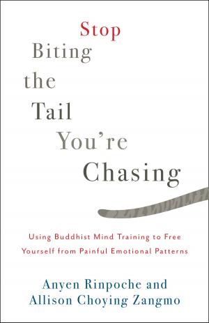 Cover of the book Stop Biting the Tail You're Chasing by Reginald A. Ray