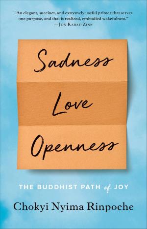 Cover of the book Sadness, Love, Openness by Dainin Katagiri