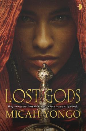 Cover of the book Lost Gods by J.R. Leckman
