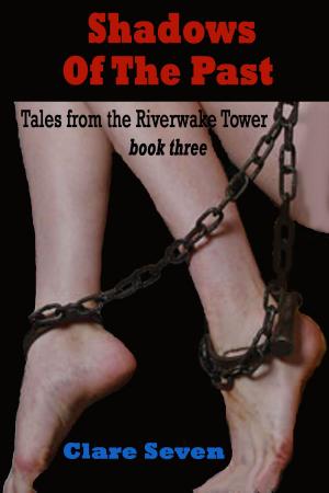 Cover of the book Shadows Of The Past by Clare Seven
