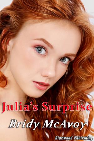 Cover of the book Julia's Surprise by Bridy McAvoy