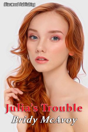 Cover of the book Julia's Trouble by David Bowman