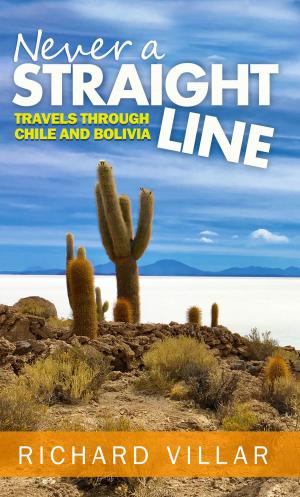 Cover of the book Never A Straight Line by F. A. Ramnon