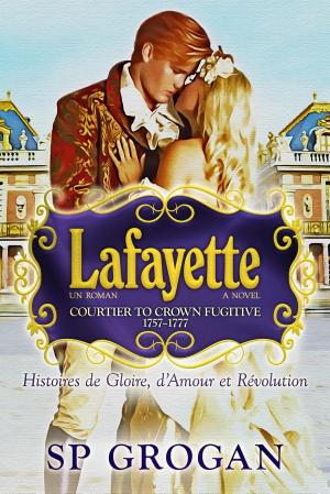Cover of the book Lafayette, the novel by George Allan England