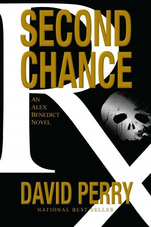 Cover of Second Chance: An Alex Benedict Novel