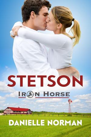 Cover of the book Stetson by Rebecca Rohman