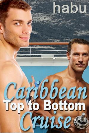 Cover of the book Caribbean Cruise Top to Bottom by Chris Cross