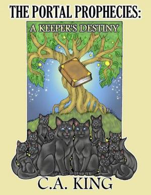 Book cover of The Portal Prophecies: A Keeper's Destiny