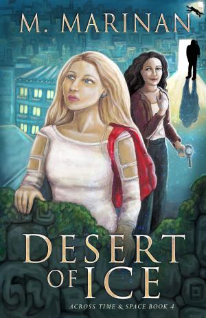 Cover of the book Desert of Ice by Anne B. Walsh