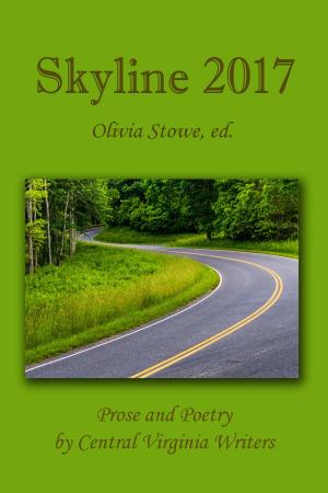 Cover of the book Skyline 2017 by Austin Basis