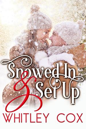 Cover of the book Snowed in & Set Up by Mazy Morris