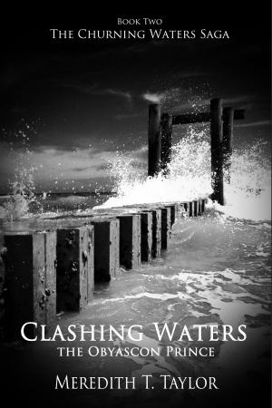 Cover of the book Clashing Waters by Georgina Makalani