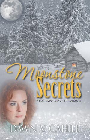 Cover of the book Moonstone Secrets: A Christian Contemporary Novel by JC Lamont