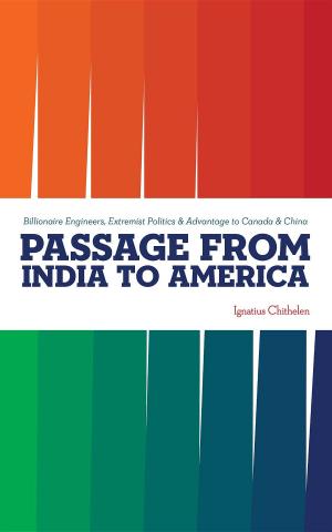 Cover of the book Passage from India to America by Farida Madre
