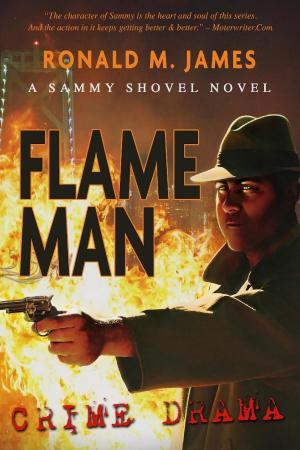 Book cover of Flame Man
