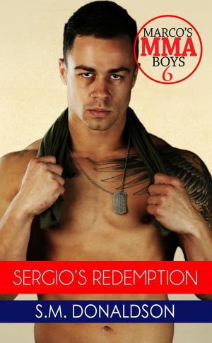 Cover of Sergio's Redemption