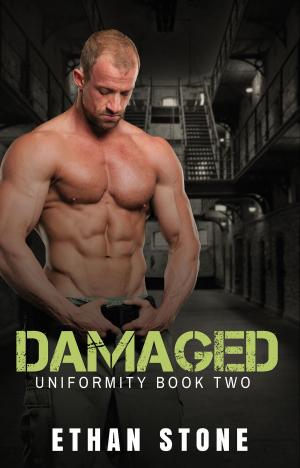 Cover of the book Damaged by Robert J Gordon