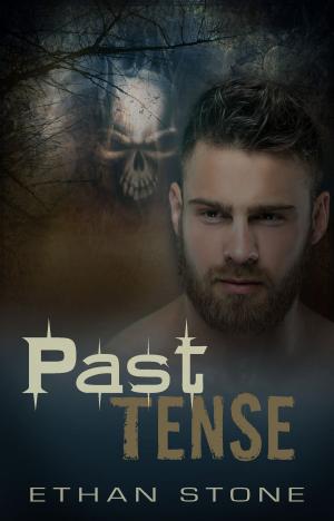 Cover of the book Past Tense by P.A. Fenton