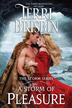 bigCover of the book A Storm of Pleasure by 