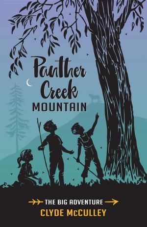bigCover of the book Panther Creek Mountain-The Big Adventure by 