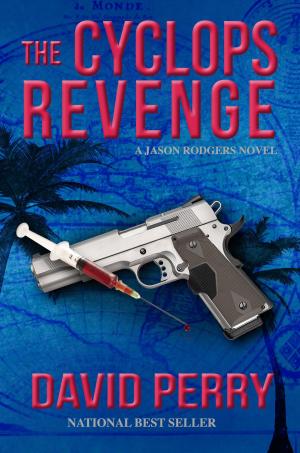 Book cover of The Cyclops Revenge: A Jason Rodgers Novel
