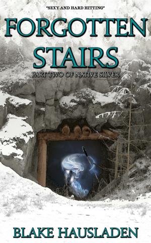 Cover of the book Forgotten Stairs by E. J. Squires