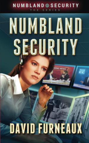 bigCover of the book Numbland Security by 