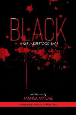 Book cover of BLACK a Misunderstood Race