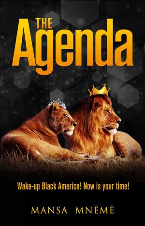 Book cover of The Agenda