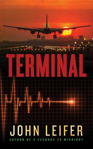 Cover of the book Terminal by David L Wallace