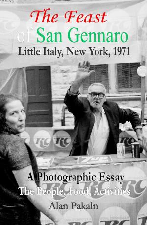 bigCover of the book The Feast of San Gennaro, Little Italy, New York, 1971: A Photographic Essay by 