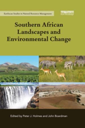 Cover of the book Southern African Landscapes and Environmental Change by Joan Mulholland