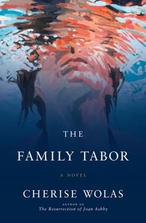 Book cover of The Family Tabor