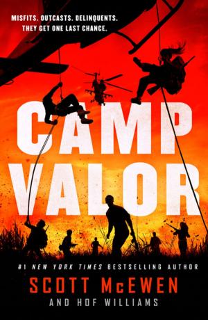 Cover of the book Camp Valor by Paul Doiron