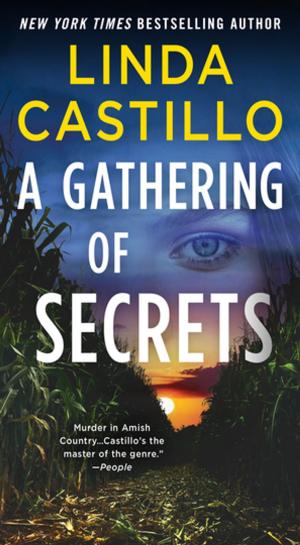 Cover of the book A Gathering of Secrets by Carey Lewis