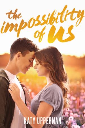 Cover of the book The Impossibility of Us by Sheila Keenan