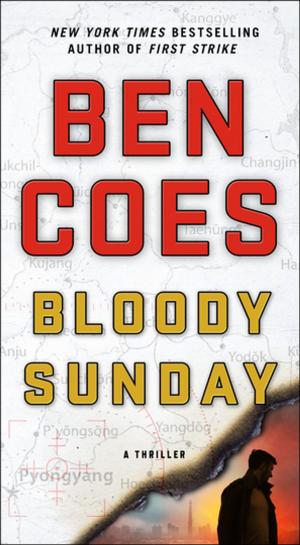 Cover of the book Bloody Sunday by Jane Roper