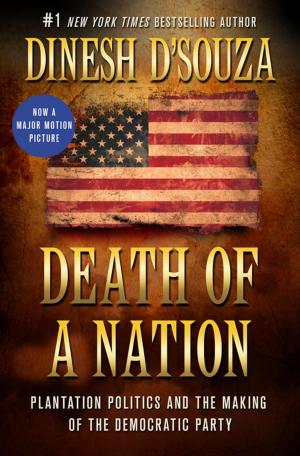Cover of the book Death of a Nation by John Toland
