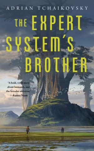Cover of the book The Expert System's Brother by 