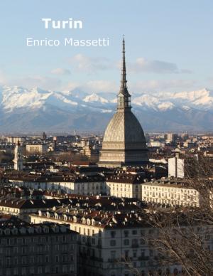 Cover of the book Turin by Dawn Lucan