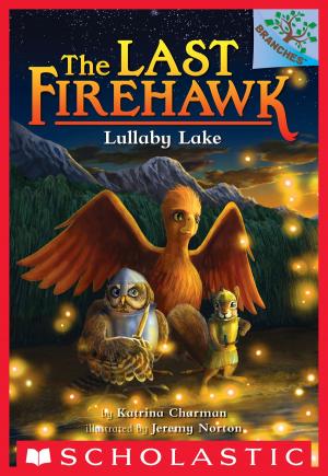 Cover of Lullaby Lake: A Branches Book (The Last Firehawk #4)