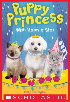 Cover of the book Wish Upon a Star (Puppy Princess #3) by Maggie Stiefvater