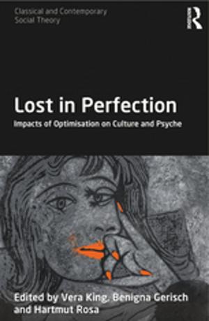 Cover of the book Lost in Perfection by Harold Davis