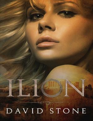 Cover of the book Ilion by James Ferace