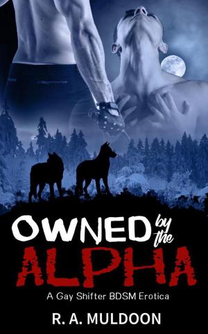 Cover of the book Owned by the Alpha by Mathew Kaufman